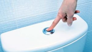 toilet won't flush
